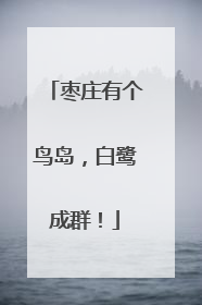 枣庄有个鸟岛，白鹭成群！