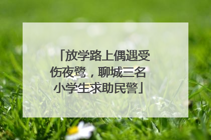 放学路上偶遇受伤夜鹭，聊城三名小学生求助民警
