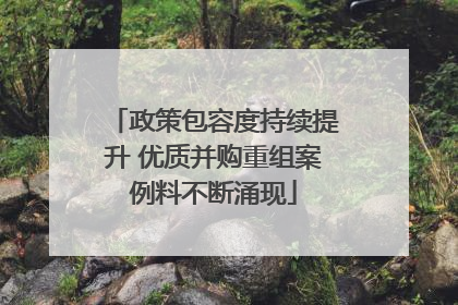 政策包容度持续提升 优质并购重组案例料不断涌现
