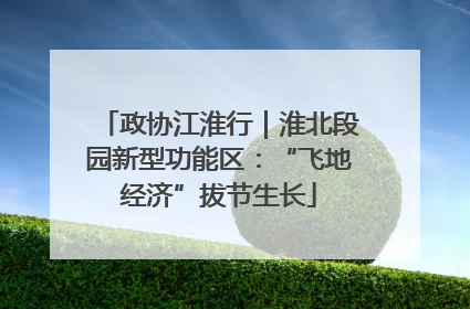 政协江淮行｜淮北段园新型功能区：“飞地经济”拔节生长