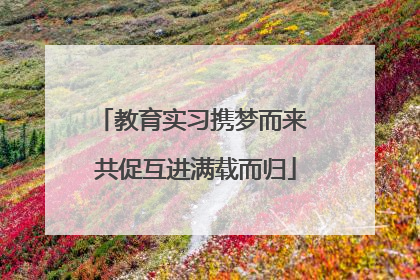 教育实习携梦而来 共促互进满载而归