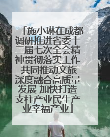 施小琳在成都调研推进省委十二届七次全会精神贯彻落实工作 共同推动文旅深度融合高质量发展 加快打造支柱产业民生产业幸福产业