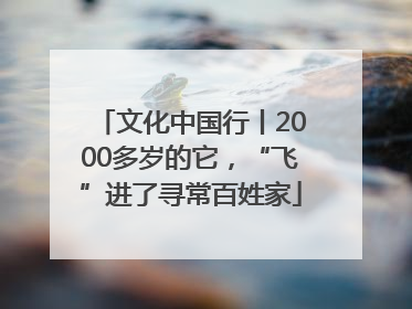 文化中国行丨2000多岁的它，“飞”进了寻常百姓家