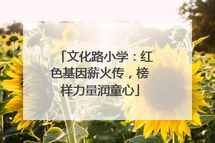 文化路小学：红色基因薪火传，榜样力量润童心