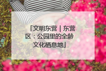 文明东营｜东营区：公园里的全龄文化栖息地