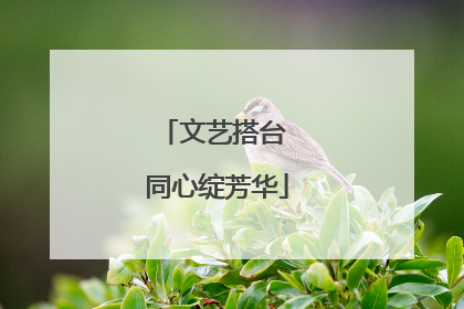 文艺搭台 同心绽芳华