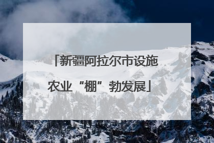 新疆阿拉尔市设施农业“棚”勃发展
