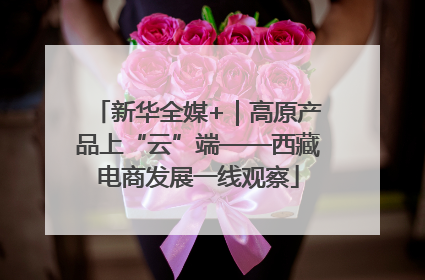 新华全媒+｜高原产品上“云”端——西藏电商发展一线观察