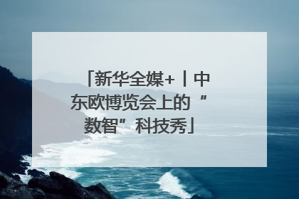 新华全媒+丨中东欧博览会上的“数智”科技秀