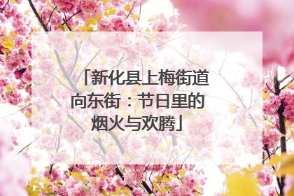 新化县上梅街道向东街：节日里的烟火与欢腾