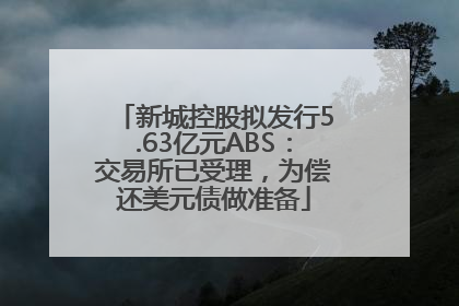 新城控股拟发行5.63亿元ABS：交易所已受理，为偿还美元债做准备
