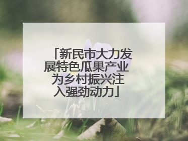 新民市大力发展特色瓜果产业 为乡村振兴注入强劲动力