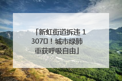 新虹街道拆违 1307㎡！城市绿肺重获呼吸自由