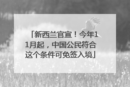 新西兰官宣！今年11月起，中国公民符合这个条件可免签入境