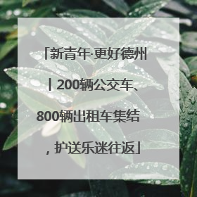 新青年·更好德州丨200辆公交车、800辆出租车集结，护送乐迷往返