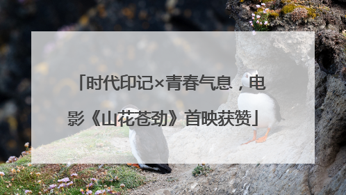 时代印记×青春气息，电影《山花苍劲》首映获赞