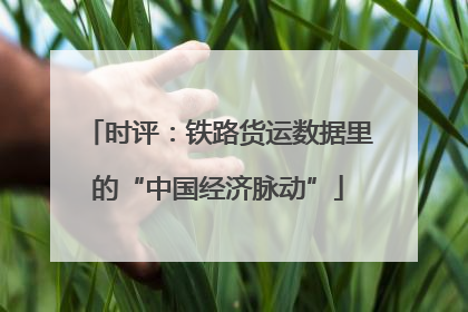 时评：铁路货运数据里的“中国经济脉动”