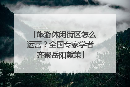旅游休闲街区怎么运营？全国专家学者齐聚岳阳献策