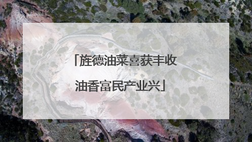 旌德油菜喜获丰收 油香富民产业兴