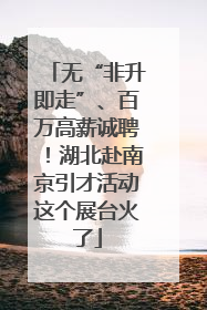 无“非升即走”、百万高薪诚聘！湖北赴南京引才活动这个展台火了