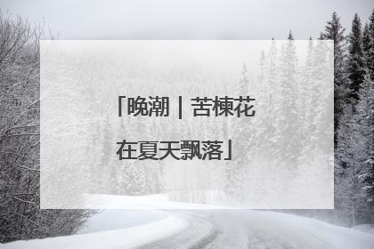 晚潮｜苦楝花在夏天飘落