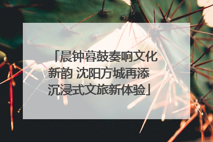 晨钟暮鼓奏响文化新韵 沈阳方城再添沉浸式文旅新体验