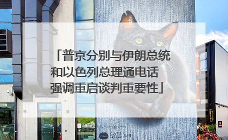普京分别与伊朗总统和以色列总理通电话 强调重启谈判重要性