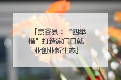景谷县：“四举措”打造家门口就业创业新生态