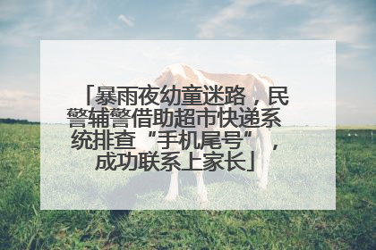 暴雨夜幼童迷路，民警辅警借助超市快递系统排查“手机尾号”，成功联系上家长