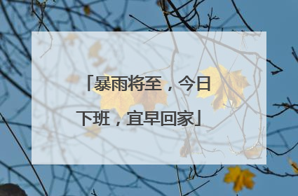 暴雨将至，今日下班，宜早回家