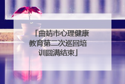 曲靖市心理健康教育第二次巡回培训圆满结束