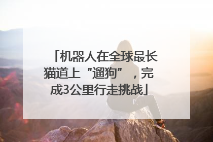 机器人在全球最长猫道上“遛狗”，完成3公里行走挑战