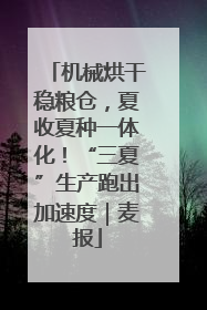 机械烘干稳粮仓，夏收夏种一体化！“三夏”生产跑出加速度｜麦报