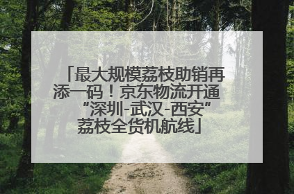 最大规模荔枝助销再添一码！京东物流开通“深圳-武汉-西安” 荔枝全货机航线