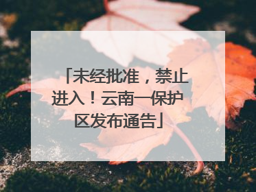 未经批准，禁止进入！云南一保护区发布通告