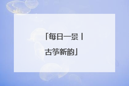 每日一景丨 古筝新韵