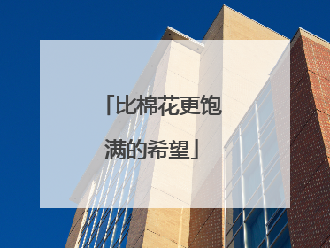 比棉花更饱满的希望