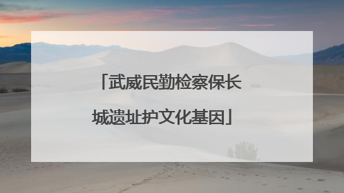 武威民勤检察保长城遗址护文化基因