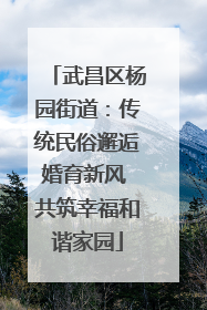 武昌区杨园街道：传统民俗邂逅婚育新风 共筑幸福和谐家园