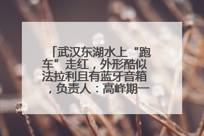 武汉东湖水上“跑车”走红，外形酷似法拉利且有蓝牙音箱，负责人：高峰期一两百人排队