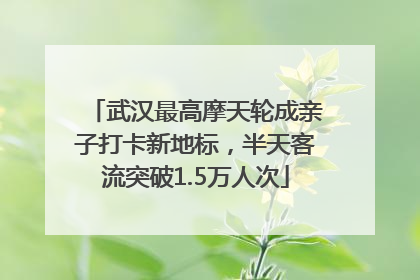 武汉最高摩天轮成亲子打卡新地标，半天客流突破1.5万人次