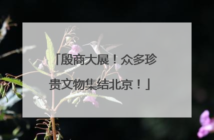 殷商大展！众多珍贵文物集结北京！