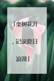 栾树花开，记录夏日浪漫