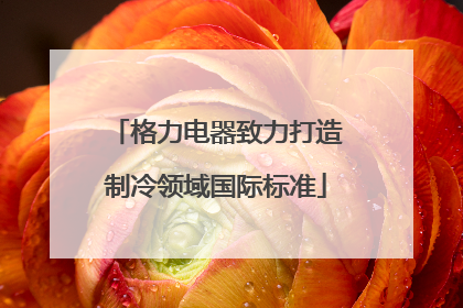 格力电器致力打造制冷领域国际标准
