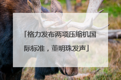 格力发布两项压缩机国际标准，董明珠发声