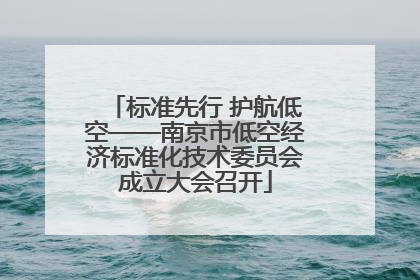 标准先行 护航低空——南京市低空经济标准化技术委员会成立大会召开