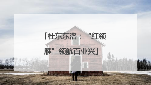 桂东东洛：“红领雁”领航百业兴