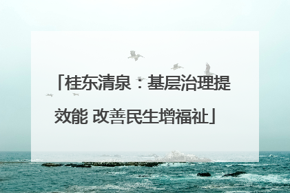 桂东清泉：基层治理提效能 改善民生增福祉