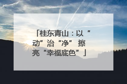 桂东青山：以“动”治“净” 擦亮“幸福底色”
