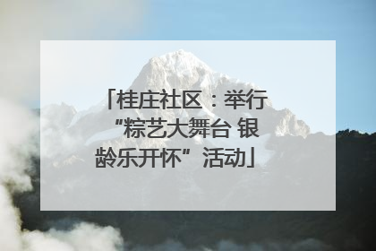 桂庄社区：举行“粽艺大舞台 银龄乐开怀”活动